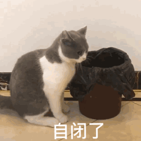  沙雕表情包可能会缺席,但绝不会迟到