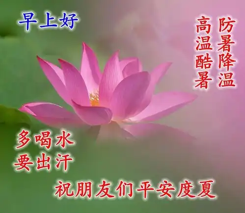 周日早上好,早安心语早上好祝福语动态表情图片,早上好语录