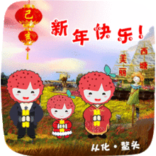  春节祝福发什么西塘微信表情祝您新年快乐