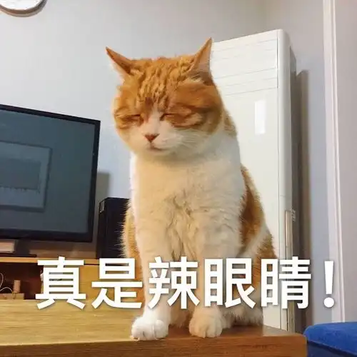 女子下班回家没有看到老公,狗笼里却出现熟悉身影好想给他一脚