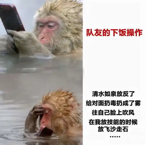  哈利波特手游表情包可以有多真实玩家在现场,我是那个凤凰