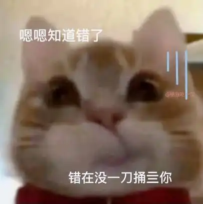  新的歪嘴小猫表情包又来了,这次的更可爱
