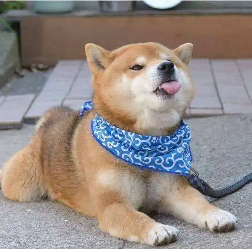  心灵之声