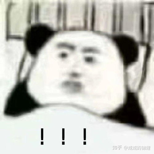  女生要不要连续追一个男生