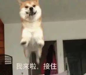  亲测重庆环线西南段,这些换乘秘诀一定要注意