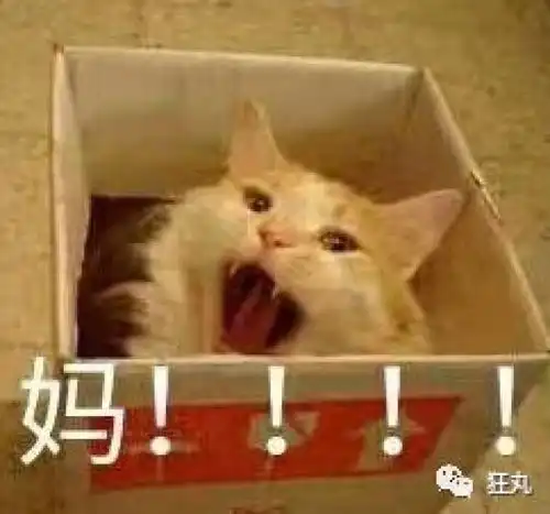 苹果微信下载表情包西伯