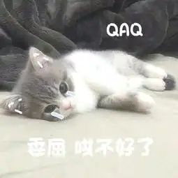  软妹子表情包你是要讲理还是要我