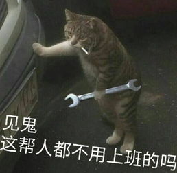  又是照骗林更新前女朋友崩了,还从网红脸整成了蛇精脸