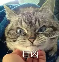  下周真的真的真的降温了这次绝对准