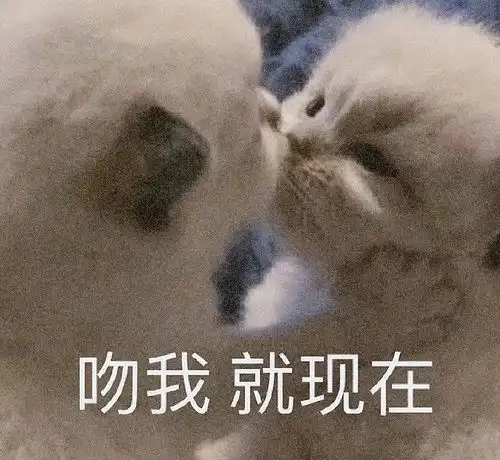  重庆话表情包斗图必备今日头条
