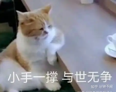  重庆一个新一线城市,但房子却住的很挤,试想如果找一个安放理想,荒废生活的地方,你选城里还是城外
