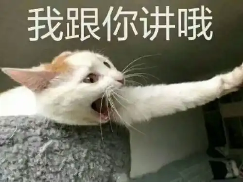  20个令人捧腹的搞笑句子