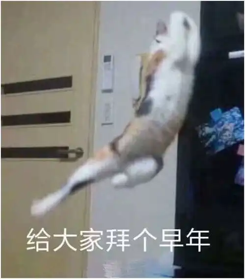  一大波段子表情包正从春晚现场向你靠近