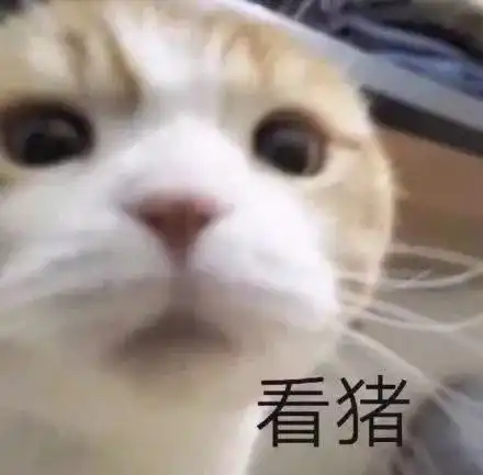  最最最顶级的a色净水钻,你以为有钱就能买到