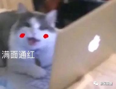  太上头了,麻烦你们原地结婚好嘛