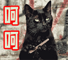  股东之间有了矛盾,公司如何继续