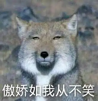 后续之如何女追男