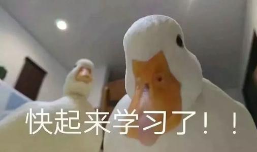 对不起鸭的表情包唐老鸭