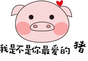  最后一部经书表情包下载最后一部经书qq表情包下载免费版当易网