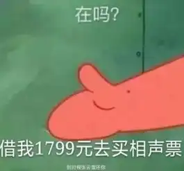  告诉派大星,他的钱我还不起了