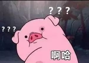  全国猪价地图,福建第三网友再不降价,我就瘦了......