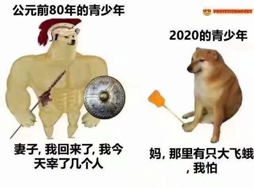 马宝国闪电五连鞭表情包