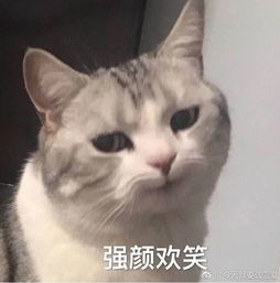  自备小板凳拖行李箱今天成都扯结婚证的人多到爆网友我恰柠檬
