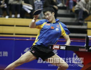  王皓42王励勤夺冠大力表情苦涩