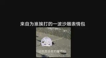 鲸落视频在线观看爱奇艺搜索 鲸落视频在线观看爱奇艺搜索