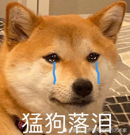  戴绿帽子吸烟的微信表情都戒烟