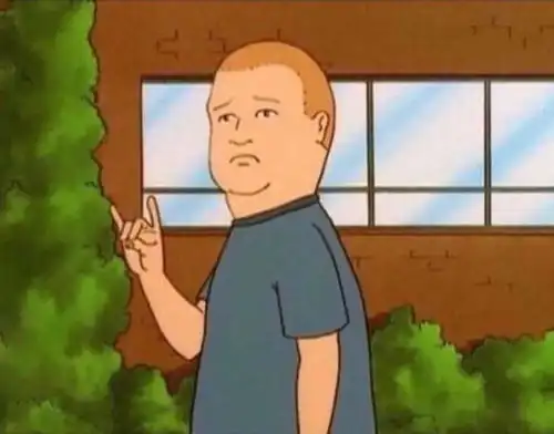  生活中说不出口的大实话,都交给表情包吧