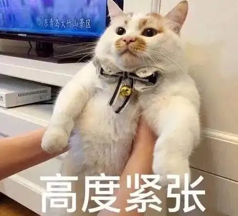  直击留学生的灵魂一问你还算应届生吗