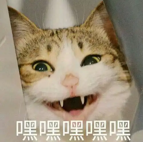 算我求你的表情包猫一夜