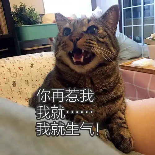  表情表情包小可爱你再惹我,我就,我就生气小可怜我投降表情