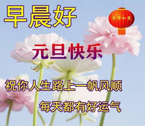  2023元旦快乐,元旦祝福表情图片精选,祝元旦快乐