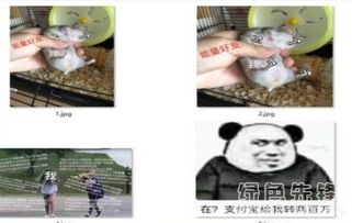  双十一被点赞请求包围的我qq表情包被点赞请求包围的我表情素材v1.0官方版软件下载