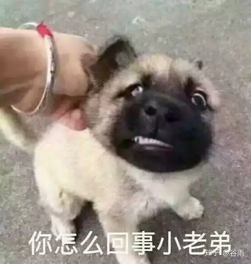  我发现自己太聪明了,怀疑自己是穿越者穿越到这个时间节点来保护我自己会不会有神秘人物抓我切片研究