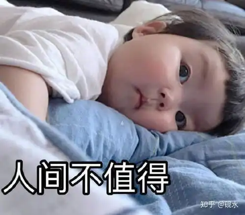  穿成娱乐圈文女配