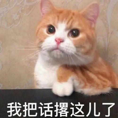  说了多少次我喜欢你今日头条