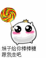  白色玩具泰迪四个月的照片