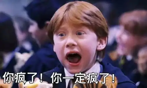  有没有哈利波特无水印表情包