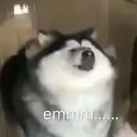  emmmmm表情包狗头