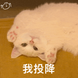  表情包动图我受到了惊吓