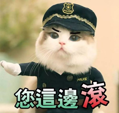 我来的表情包我们之间
