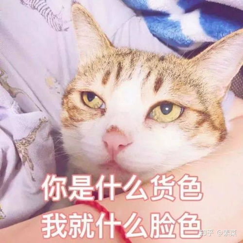  为什么蔡徐坤的网络评价会提升,他不是有很多槽点吗