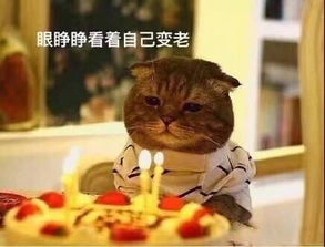  段子神回复骗小姑娘才是遗传到位呢