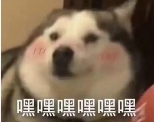  自己一个人去玩真的真的很爽
