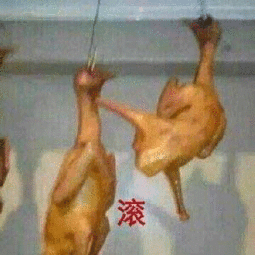  77张鸡表情包祝你鸡年大吉吧