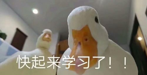  21考研今年还会线上复试吗哪些需要注意