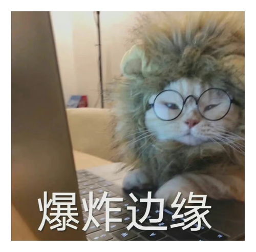  表情包一组有趣的表情包45期
